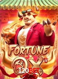 120BET.COM