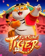120BET.COM
